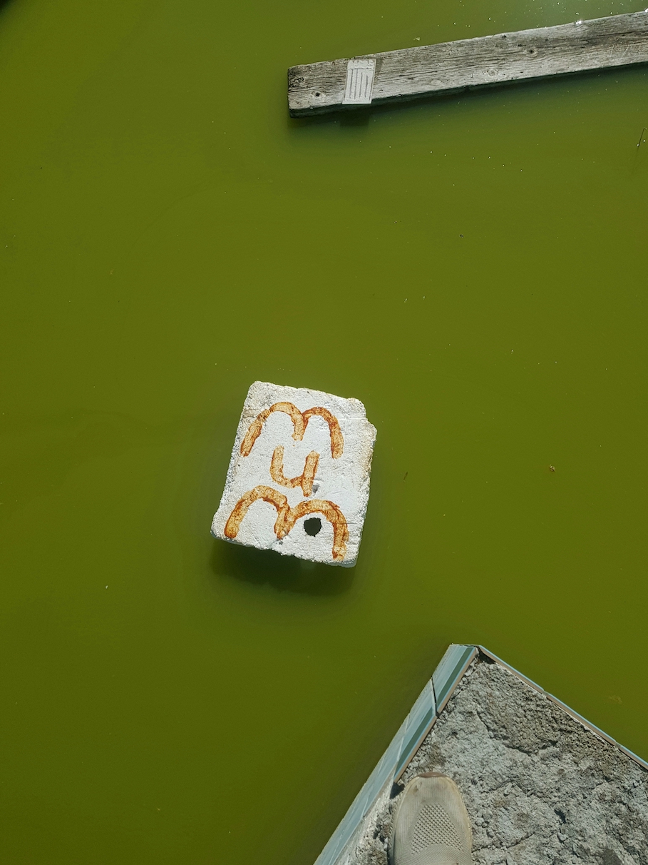 'Dad’ and ‘Mum’ Typography on refuse dump and stagnant pool